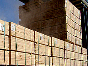 Packing & Shipment