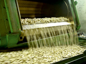 Shot Blasting